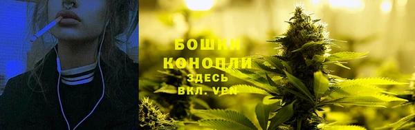 тгк Семилуки