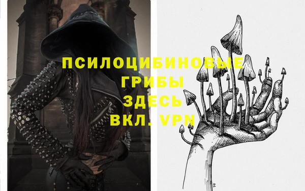 2c-b Семёнов
