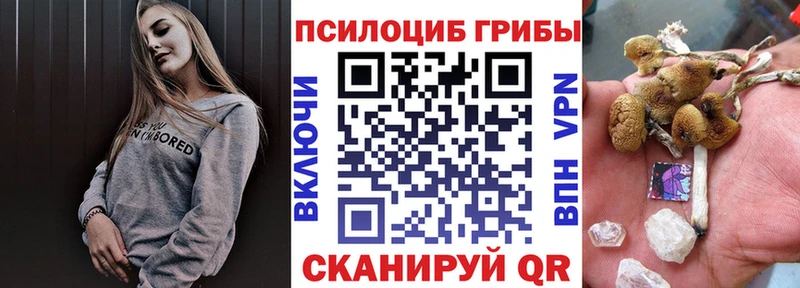 Купить  Шадринск  Галлюциногенные грибы Magic Shrooms